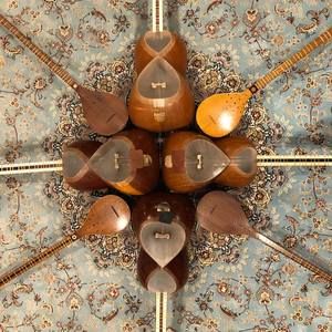 Meet your Posher, Harry